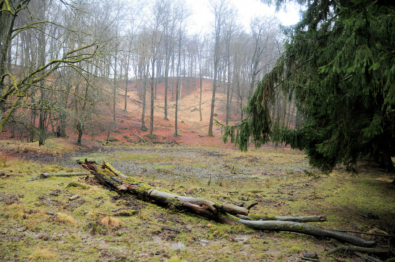 Im Tal Naturschutzgebiet in NRW