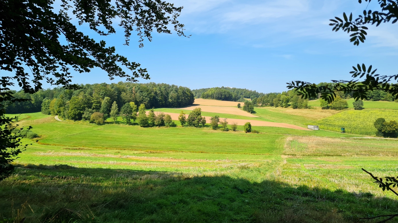 surrounding landscape