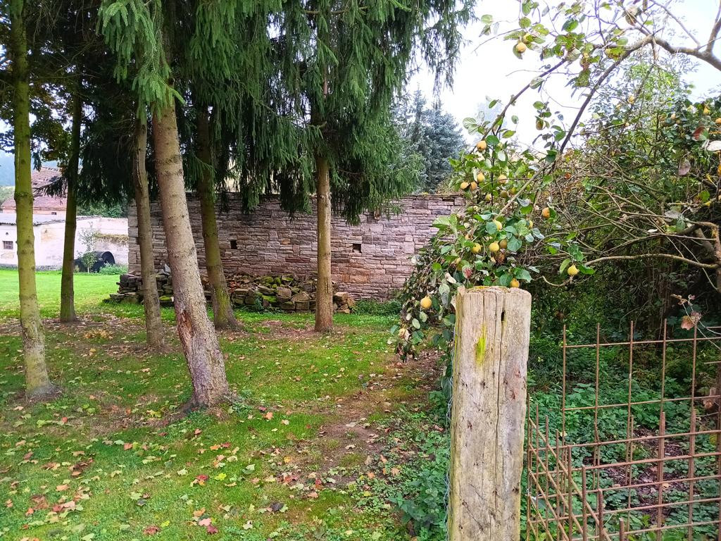 CP at a distance of approx. 20 meters