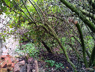 #3: Süden; view south