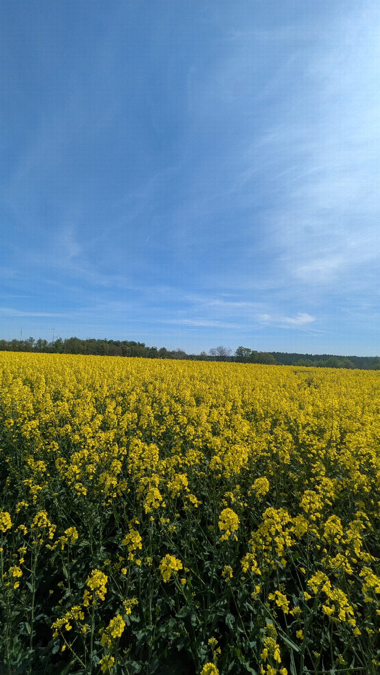 Osten