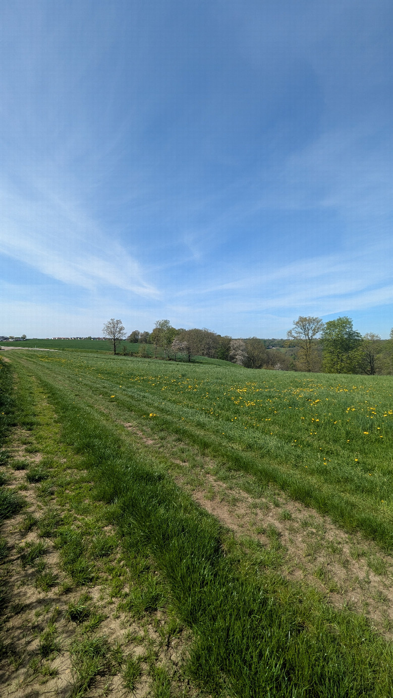 Westen