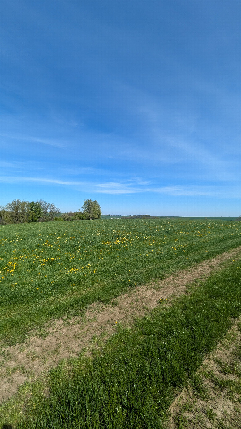Norden 