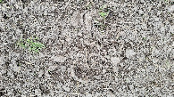 #6: Ground at the CP