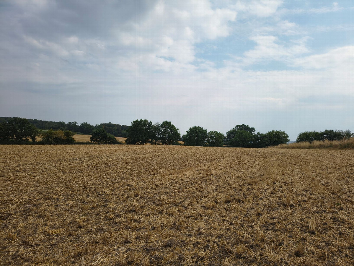 south