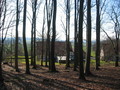 #9: Nearby Forest; Village Hagendonop in the Background
