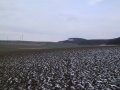 #2: East view, some wind generators and the nice muddy field the confluence is on