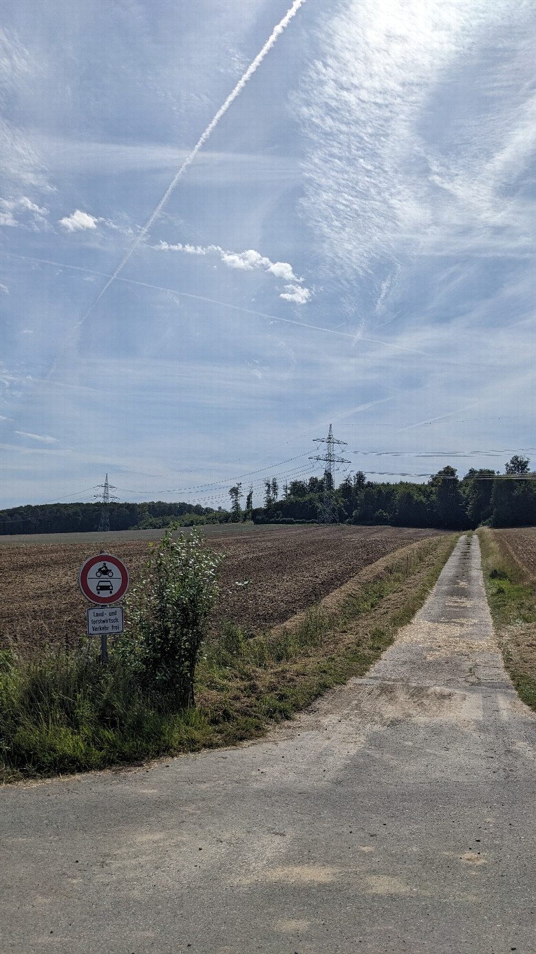 Der Weg den wir Richtung CP zu Fuß folgten 