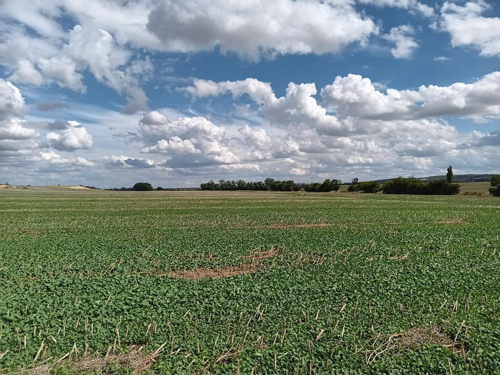 Osten; view east