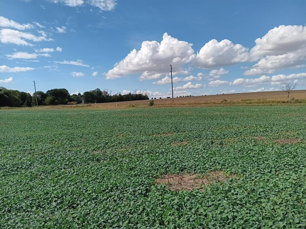 Westen; view west