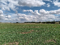 #2: Osten; view east