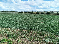 #7: CP area from approx 30 meters distance