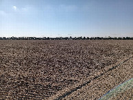 #3: Süden; view south