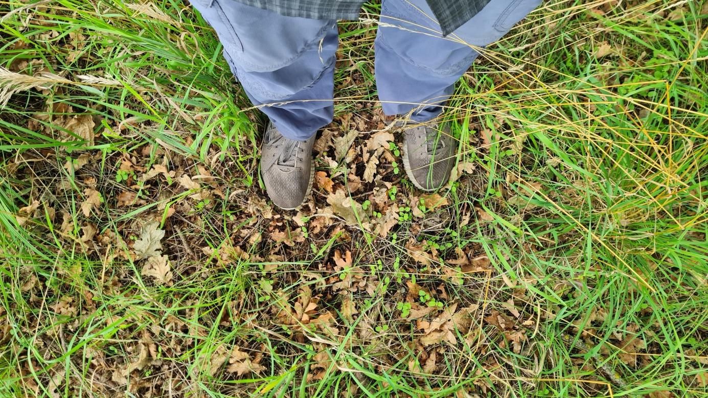 ground at CP
