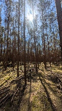 #3: Süden 
