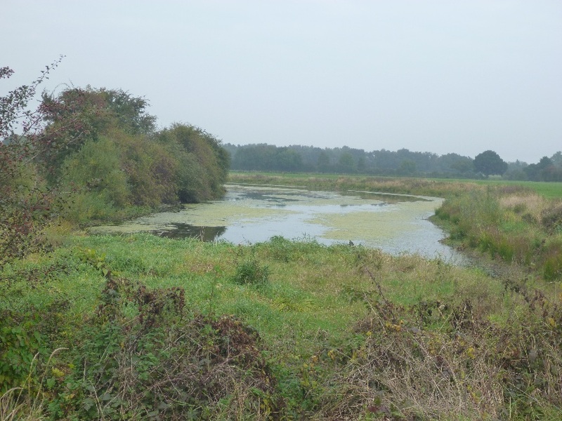 Lagoon close to confluence