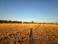 #2: east