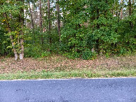 #4: Westen; view west