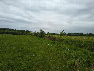 #4: west