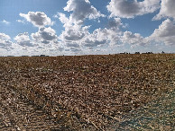 #3: Süden; view south