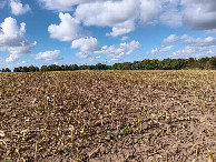 #4: Westen; view west