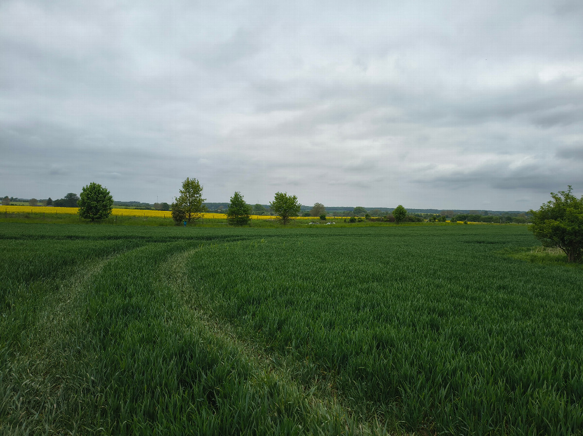north