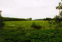 #4: Beautiful view to the meadow (to West).