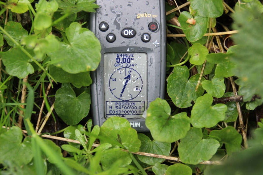Ground cover and coordinates