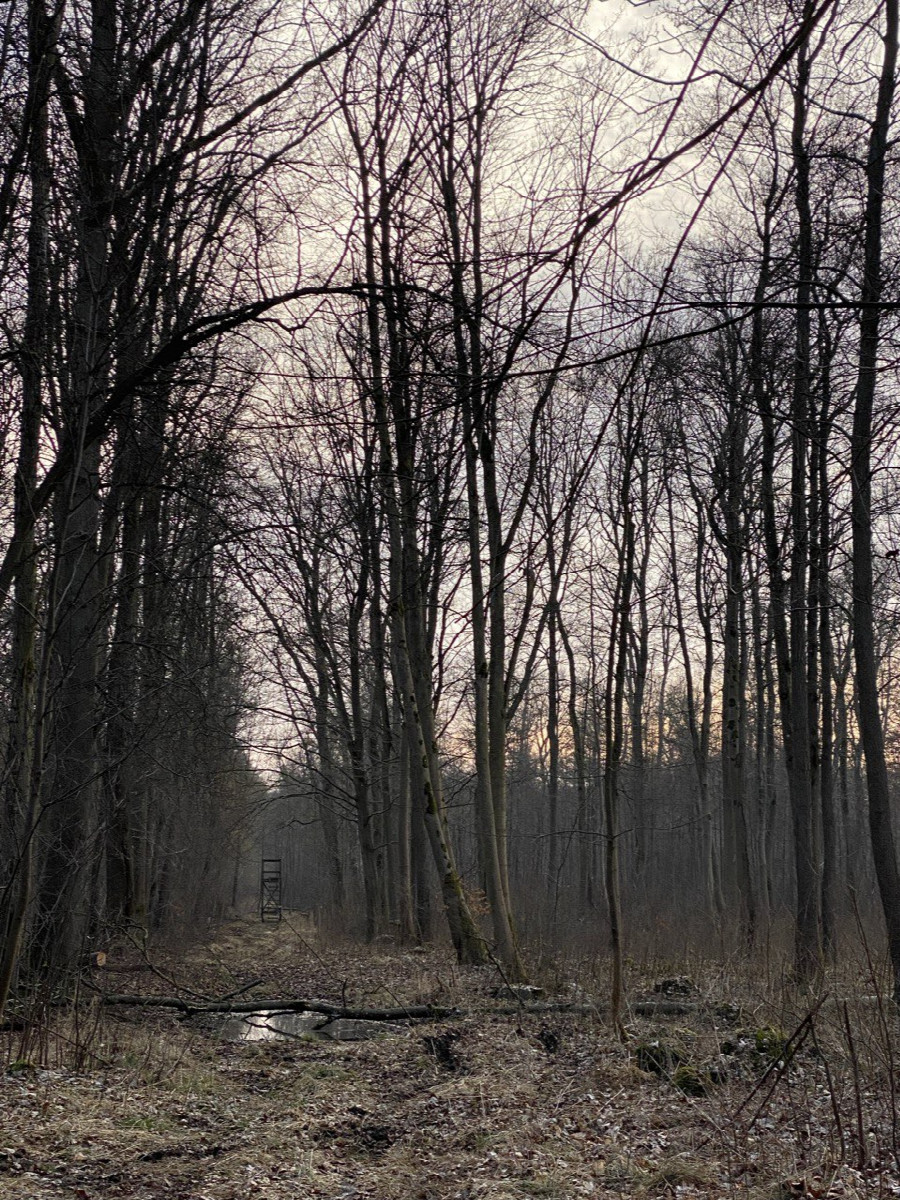 Possible alternative path