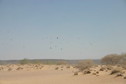 #11: Vultures circling as we make our way across the desert...
