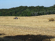 #10: Farmers Collecting Straw Bails