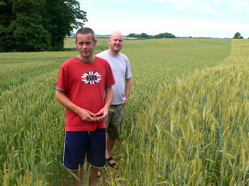 Sean and Randy Inspecting The Crop