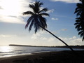 #10: The Lonely Beach Playa Limon