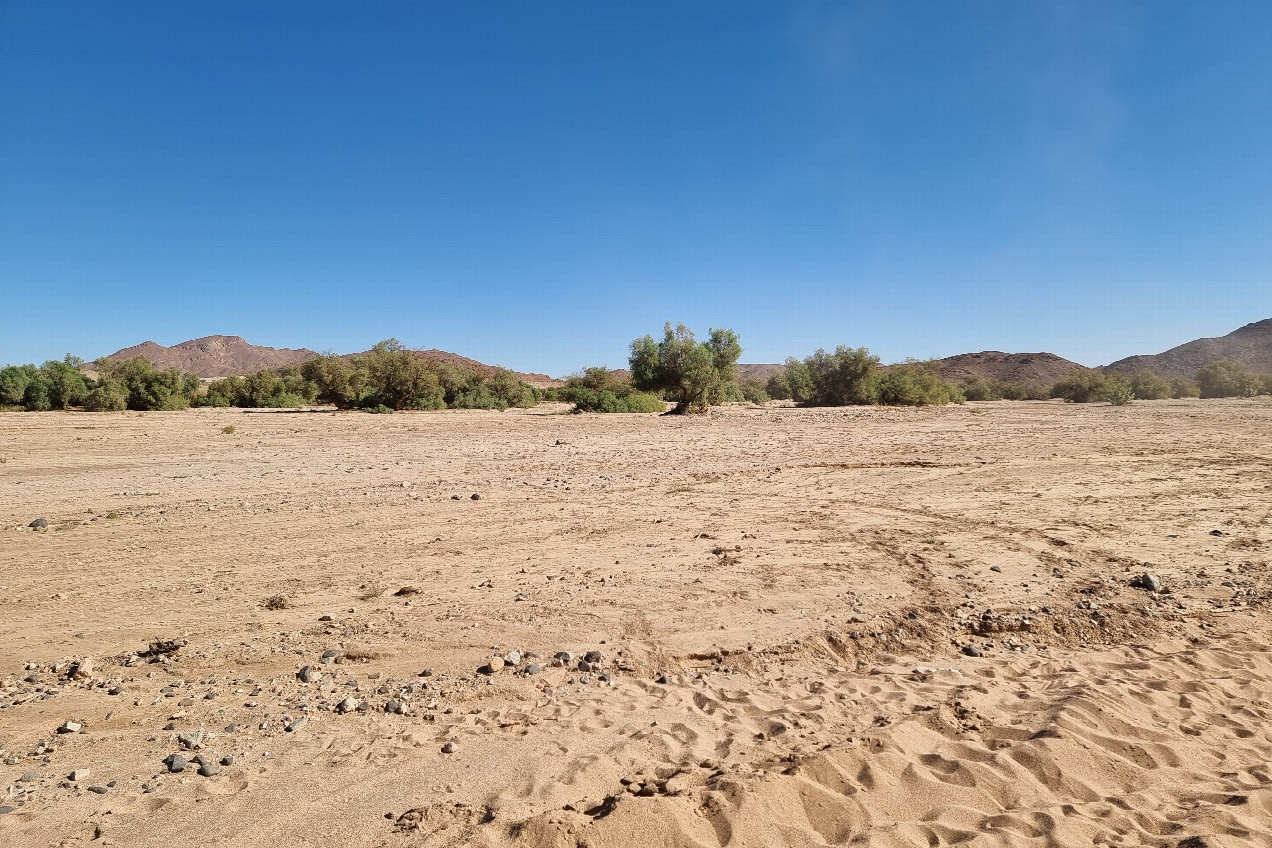 View from 100 m away