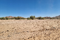 #7: View from 100 m away