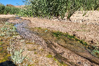 #9: Sweet water source at the end of the wadi