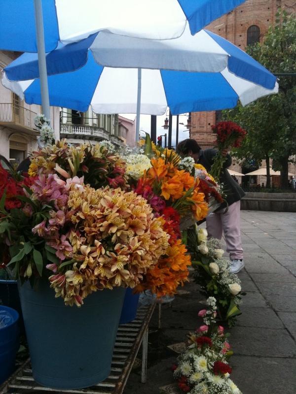Cuenca , mercado de flores. Flower marfket