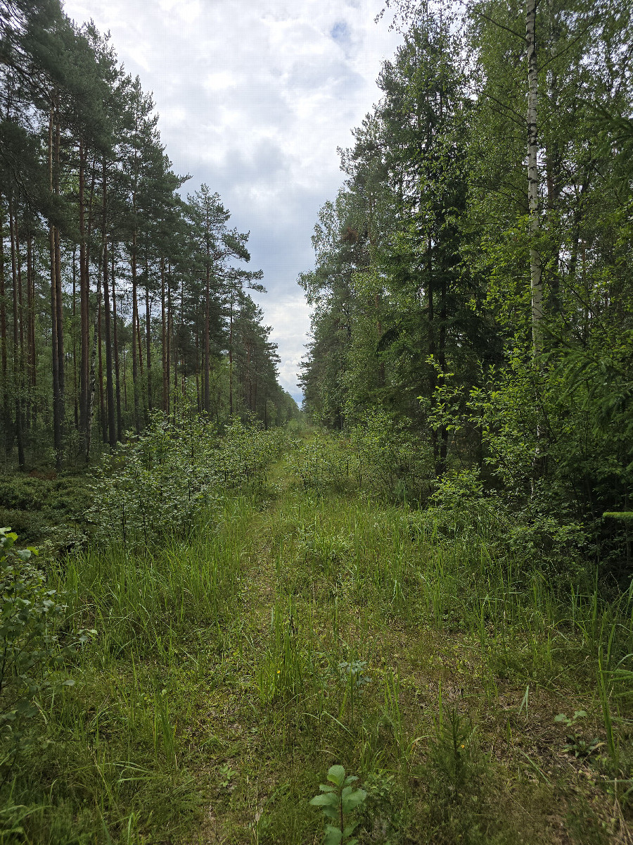 The track towards the confluence point