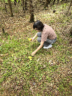 #11: Jin picking her first chantarelles