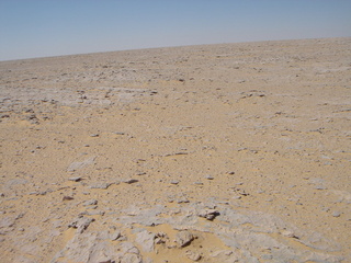 #1: General view of the point showing the roughness of the terrain