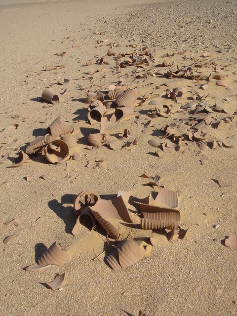 Pottery remains on the old camel caravan trail to south of the confluence