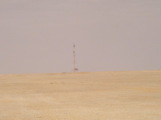 The view to the north with telephone mast as the only feature that can be seen from the Confluence.