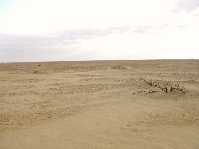 Looking at 30N 27E from the edge of the sabkha 200 m away.