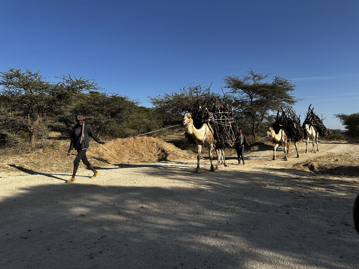 Caravan during the Hike