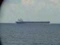 #4: "Panamax" bulk carrier