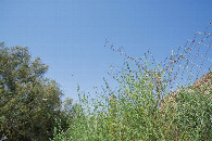 #2: View North
