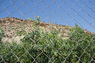 #3: View East
