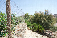 #4: View South