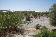 #5: View West