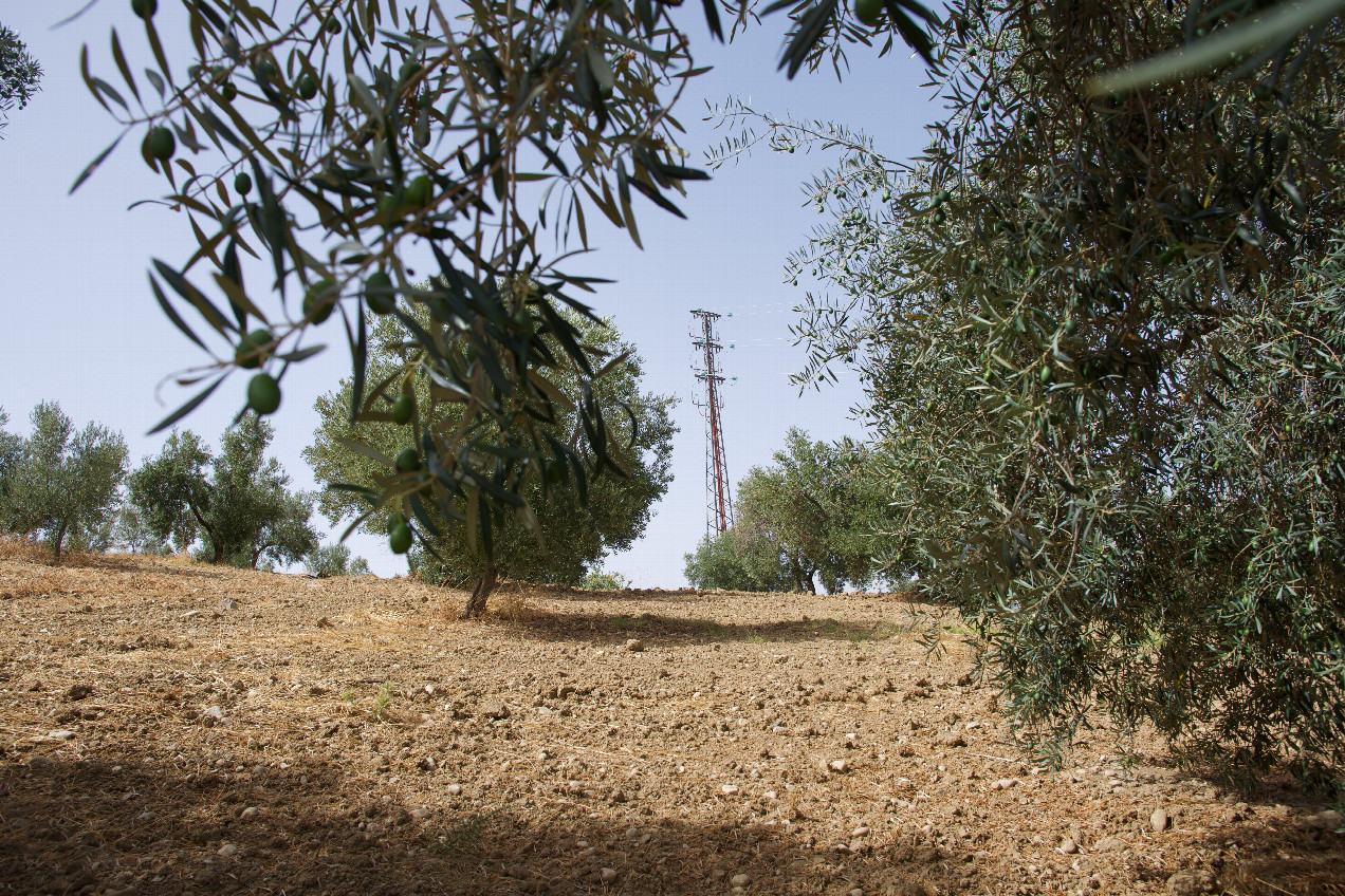 View North